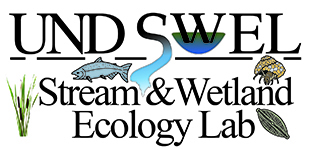 Swel 2018 Logo Web
